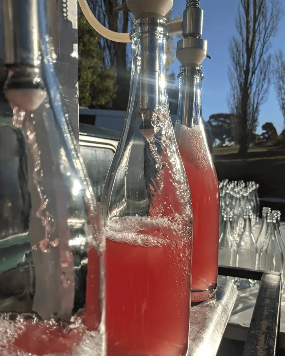 2021 DIRECT PRESSED SHIRAZ