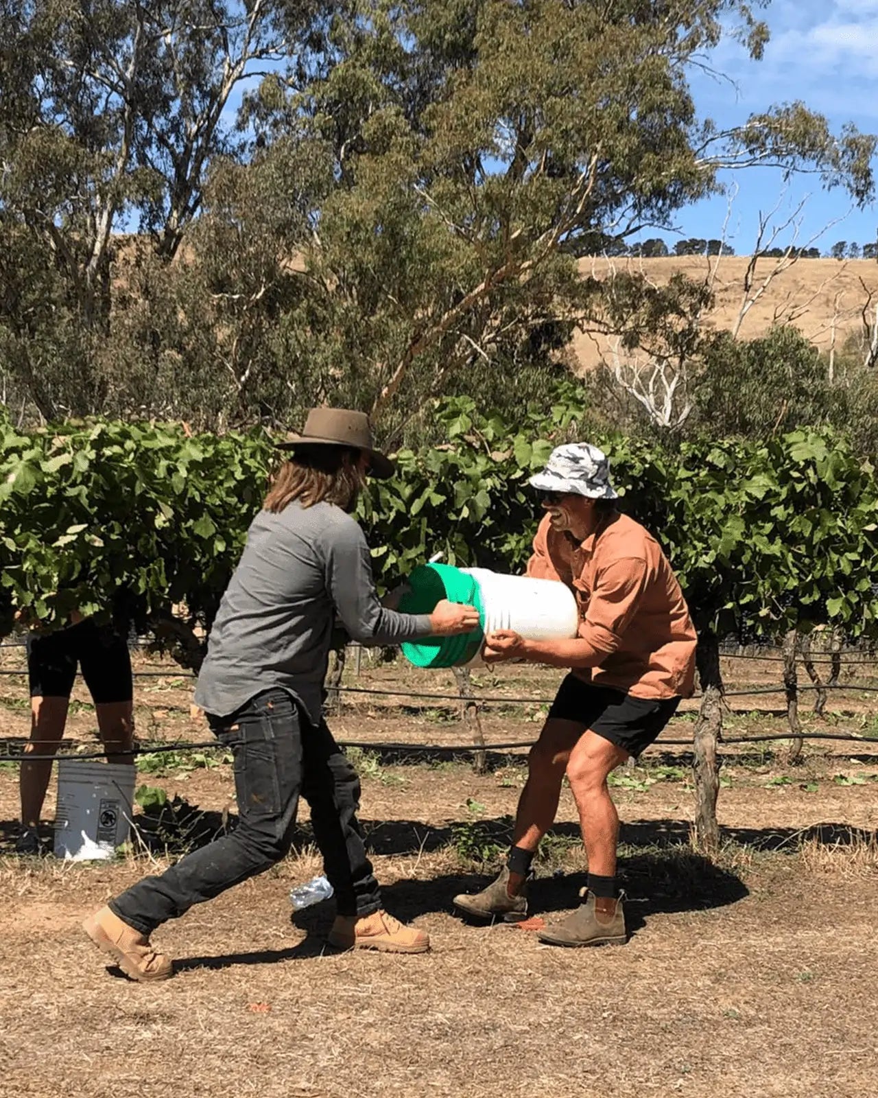 2021 DIRECT PRESSED SHIRAZ