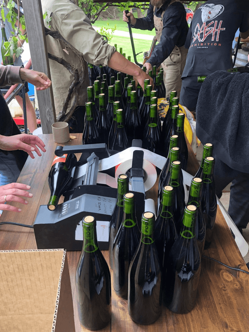 a selection of pool wines having their labels put on by the makers