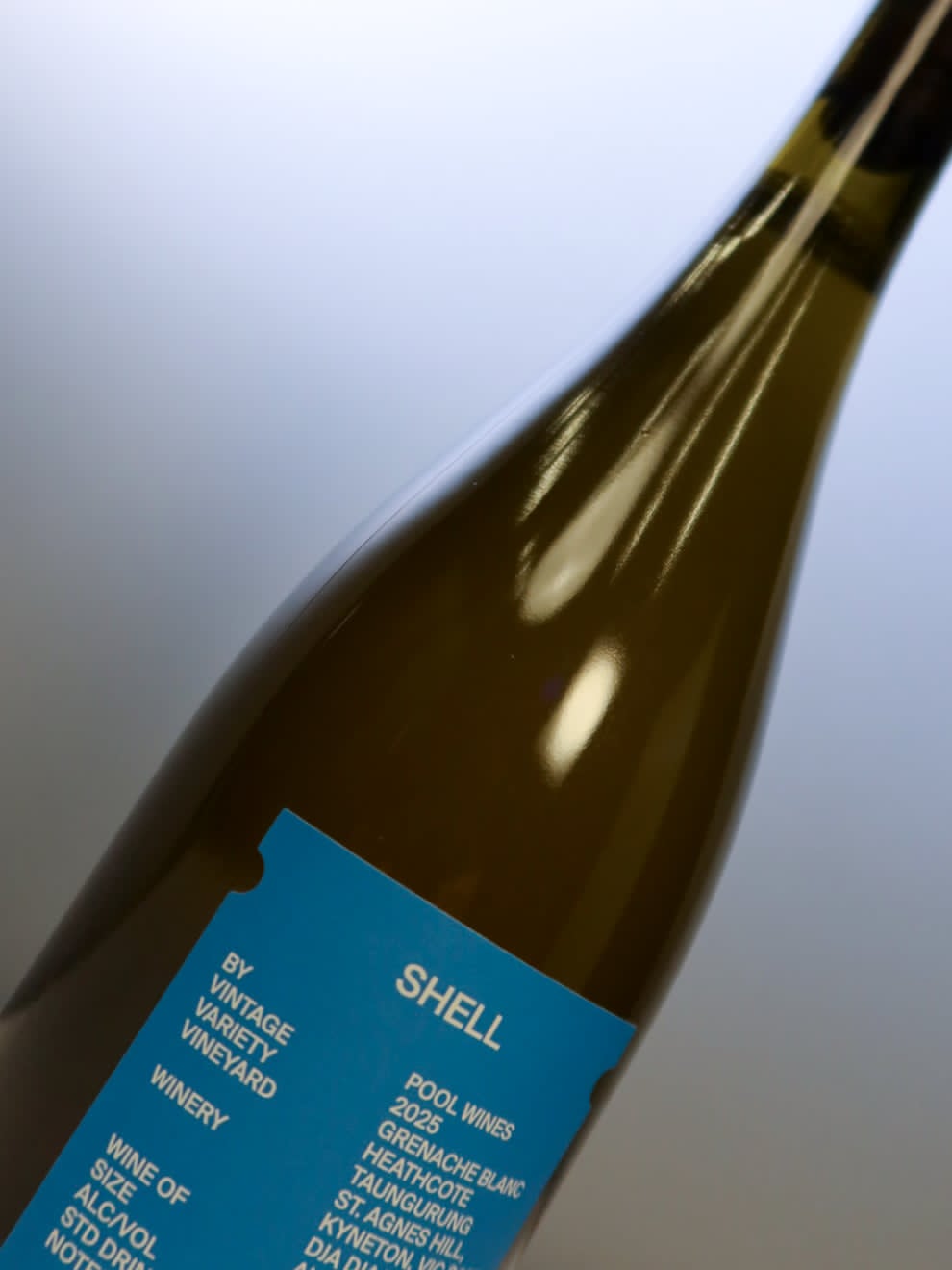 2025 SHELL