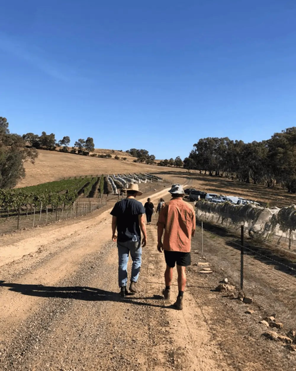 2021 DIRECT PRESSED SHIRAZ